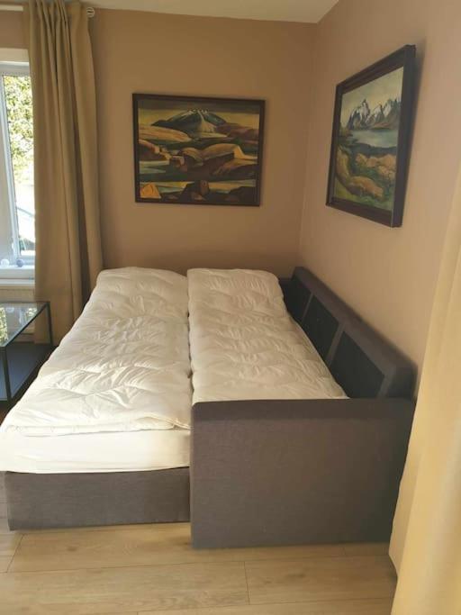 Greenhouse Golden Circle Villa 雷克霍特 外观 照片